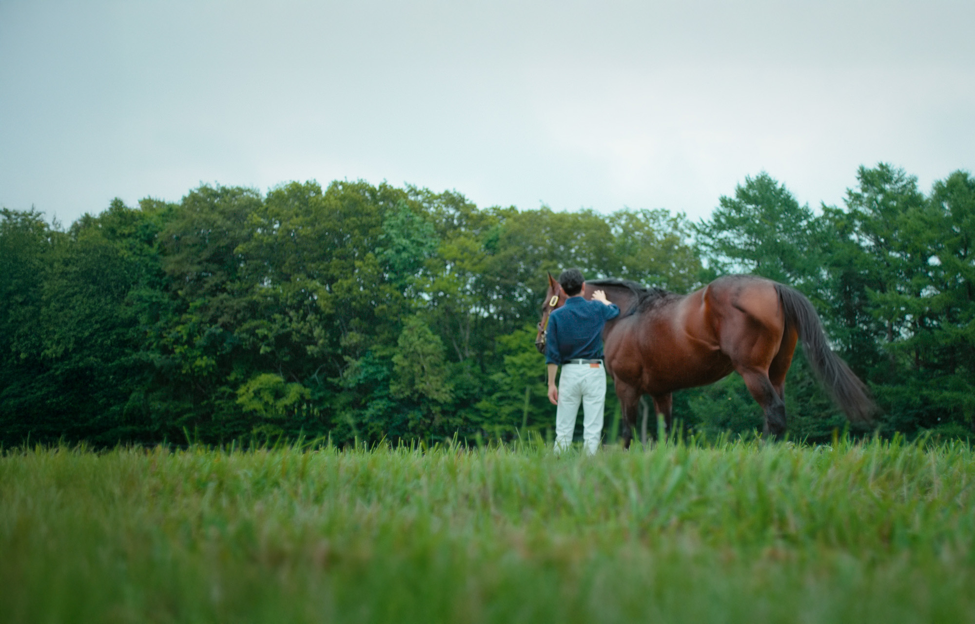 MABP(グループ会社)企業公式アンバサダー 武豊 日本中央競馬会(JRA)騎手