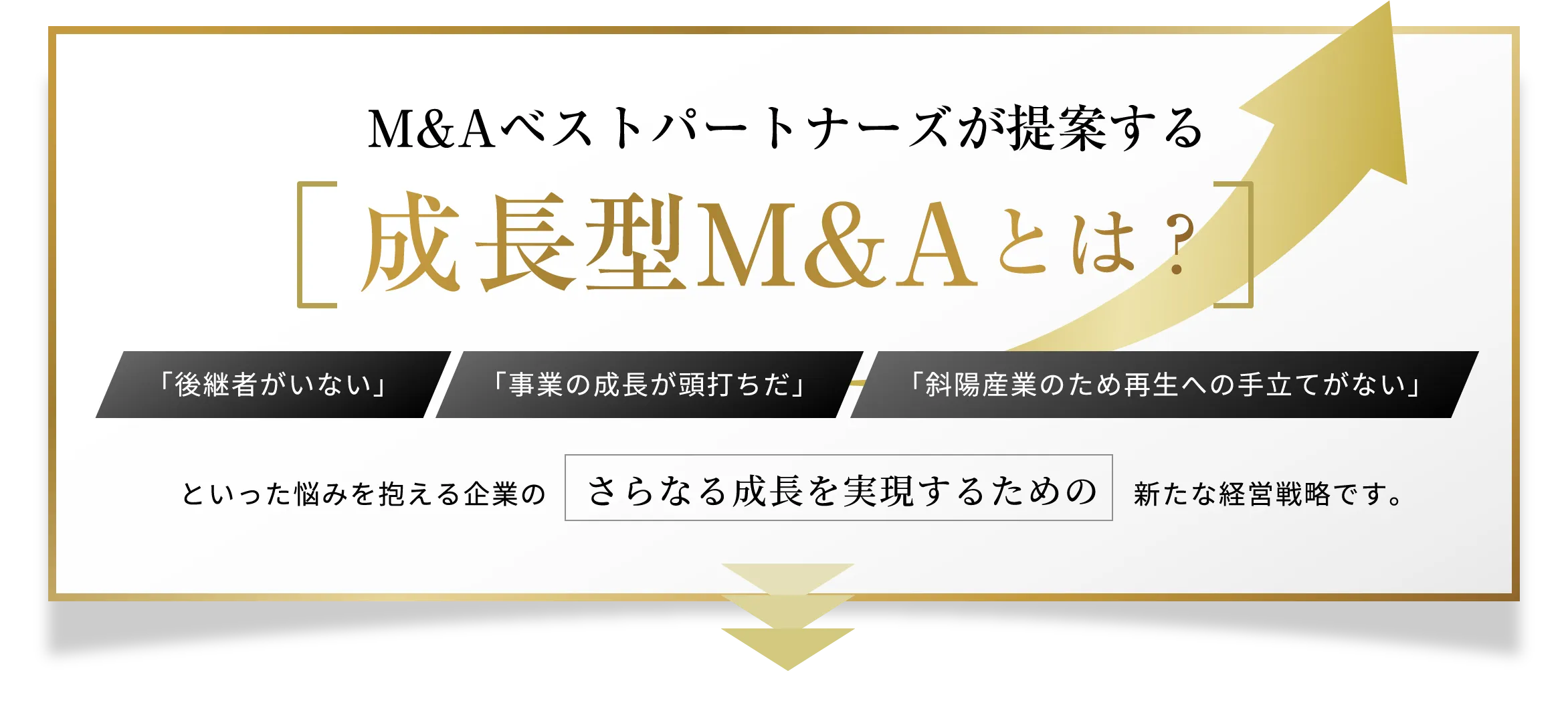 M&Aベストパートナーが提案する[成長型M&Aとは？]