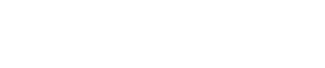 VOICE