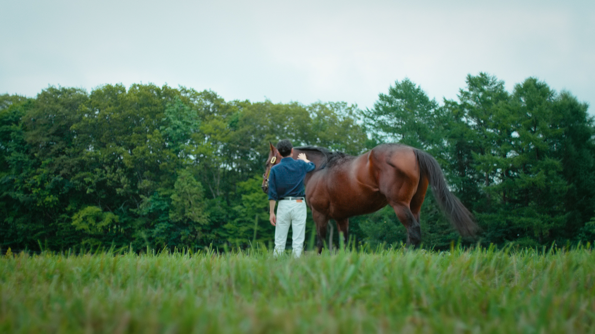 武 豊氏　出演CM第2弾公開！