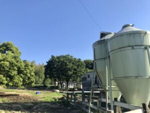 原料高騰に立ち向かう｜飼料製造事業者がM&Aを選択する経営的メリットを解説