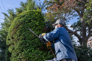 後継者不在の造園業・外構工事業を次世代へ繋ぐ｜M&Aが「廃業」より選ばれる理由