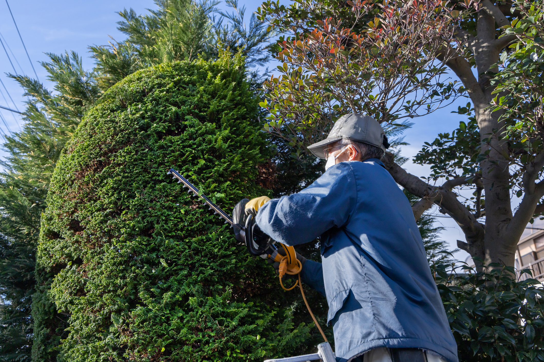 造園業　外構工事業　M&A